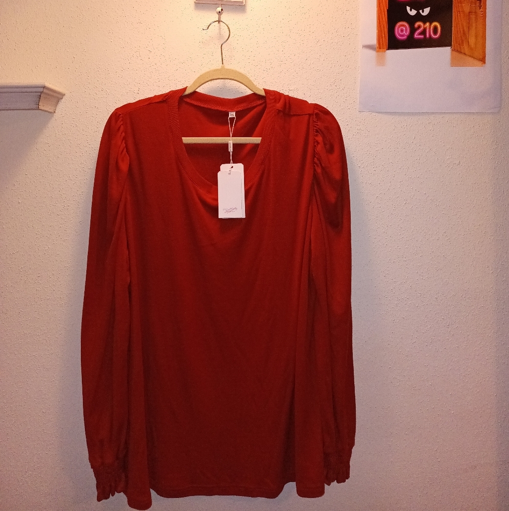 Women's 3X tunic Rust color long sleeve